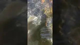Pulang Bato Red Rock hot springs