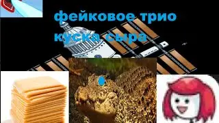 Фейковое трио куска сыра