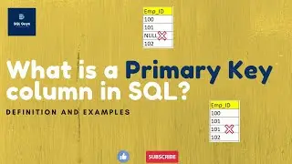 SQL Tutorial - What is a Primary Key column ? How to define a column as Primary Key in SQL?
