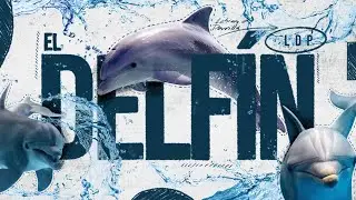 Labias De Parilla: El Delfín | 090