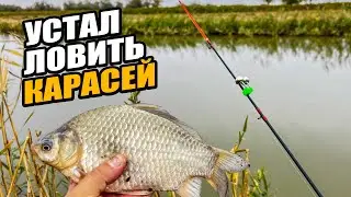 КЛЮЕТ ТАК,ЧТО НЕ УСПЕВАЕШЬ ЗАКИДОВАТЬ УДОЧКУ!!!РЫБАЛКА В АСТРАХАНИ!ОСЕНЬ 2024!