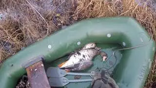 Нарезка с осени 2019, разные места