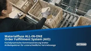 Materialfluss AIO (All-In-One) Order Fulfillment System | WITRON