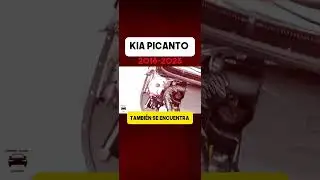 El Kia Picanto es el MEJOR para cuidad  #kia #picanto #kiapicanto