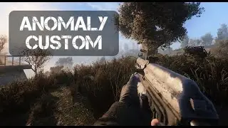 ☢️S.T.A.L.K.E.R ☢️- Anomaly Custom #2