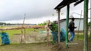 মায়াঘেরা জাফরগঞ্জ যমুনা চরের সাদামাটা ঘরবাড়ি | মানিকগঞ্জ