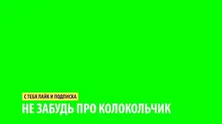 ПОДПИСКА,КОЛОКОЛЬЧИК ФУТАЖ НА ЗЕЛЁНОМ ФОНЕ
