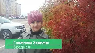 Хадижат Гаджиева  Вредная