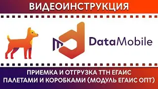DataMobile: Урок №16. Приемка и отгрузка ТТН ЕГАИС 3.0 палетами и коробками