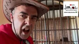 To jail!!