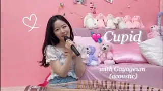 Cupid cover🎙️with Gayageum (acoustic)