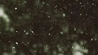Canyon City - Let It Snow