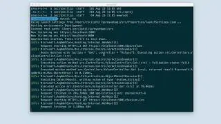 Azure Tips and Tricks Video - Getting a  NET Core WebAPI Project Ready for Docker