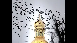 Верующие УПЦ в Крутах прогнали провокаторов.