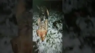 15 октября! Вьюга!