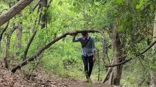 Bhopal Forest ❣️