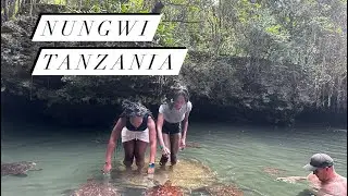 SWIMMING WITH TURTLES IN ZANZIBAR!🥰🥰