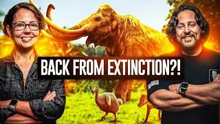 The Crazy Plan to REVIVE Woolly Mammoths (here’s how)
