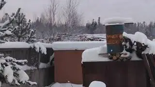 дрова для бани из остатков пиломатериала