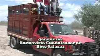 ENTREVISTA A ORGANIZADOR Y JINETES BUENAVISTA  14 JUL 2016