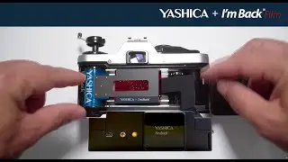 I'm Back Film - The Holy Graal of photography has finally been found!