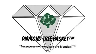 Diamond Tree Basket by NYP Corp