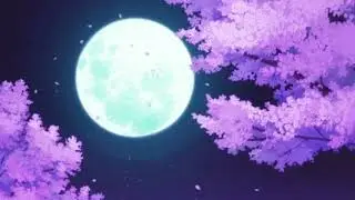 Chill Lofi Music for Sleeping, Studying, Relaxing & MORE