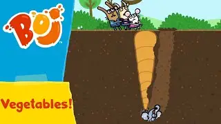 Boj - Growing Your Own Vegetables! 🥕 | Full Episodes | Cartoons for Kids