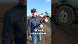 Эксперимент 2022