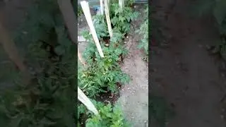 9 июля 2019 г.