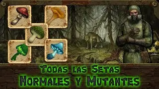 ¿Dónde Encontrar todas las Setas Raras?🍄  || Guía || Day R Survival