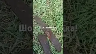 Такое нахожу впервые!