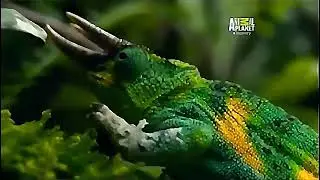 Documentários de animais na selvagens 2020, PLANETA MUTANTE