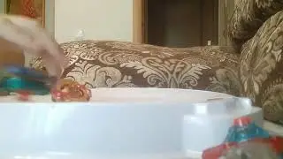 Заходите на стрим