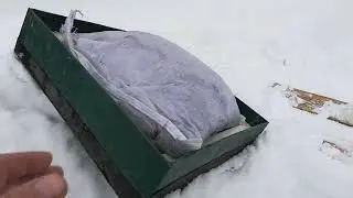 Дадан 12 рамок, две матки. Сибирь. 7марта.