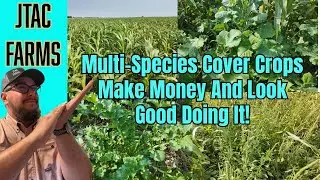2024 Multi-Species Cover Crop Tour