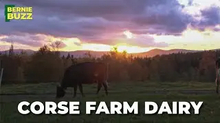 Corse Farm Dairy