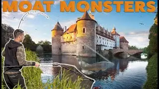 Carp Fishing a Castle's Moat! 🏰 Lee Mozza Morris | Venue with a Difference