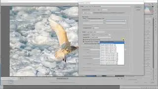 Выбираем формат файла для сохранения из Camera Raw
