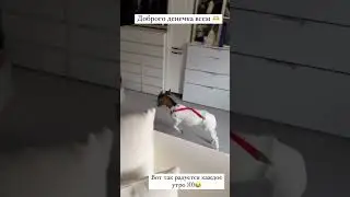 В доме 