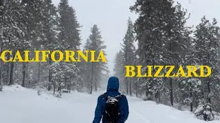 California Winter Storm: 60 INCHES of Snow in 48 HOURS