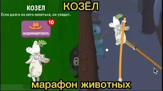 МАРАФОН ЖИВОТНЫХ! НОВАЯ РУБРИКА! WALK MASTER