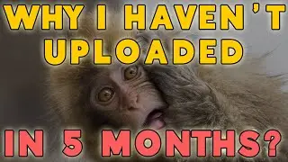 Why I haven't Uploaded in 5 Months?