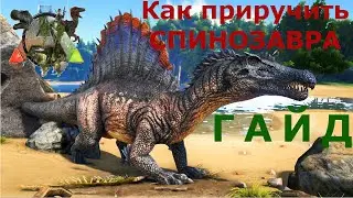 Ark survival evolved. Как приручить спинозавра?