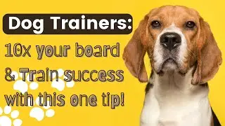 Dog Trainers: How to Ensure Success After a Dog Returns Home