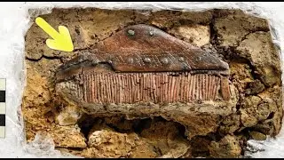 Ancient Alemanic Grave Unearthed