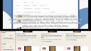 How to Filter by Price on Shopify?