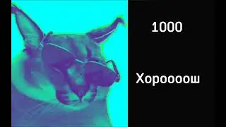 Сколько ты съел пельменей за секунду: #шлепа #реки #пельмени