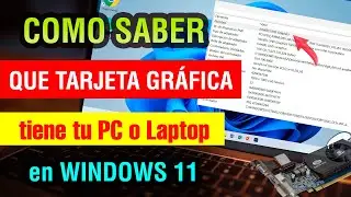 Como saber que Tarjeta Grafica tiene mi pc o laptop en Windows 11