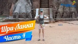 ШРИ – ЛАНКА! Мировая прогулка часть 5